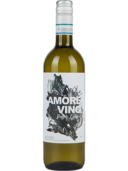 Amore Vino, Pinot Grigio DOC