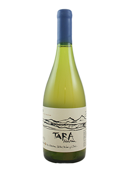 Vina Ventisquero, Tara Chardonnay